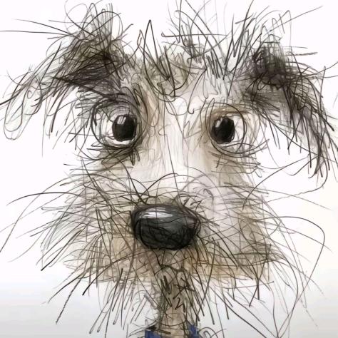 🇨🇳 🇨🇳 🇨🇳