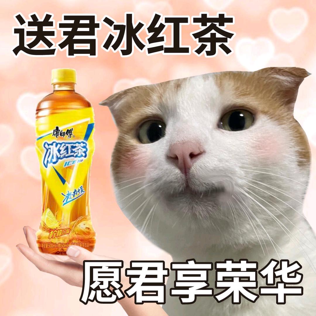 超级无敌暴龙大王