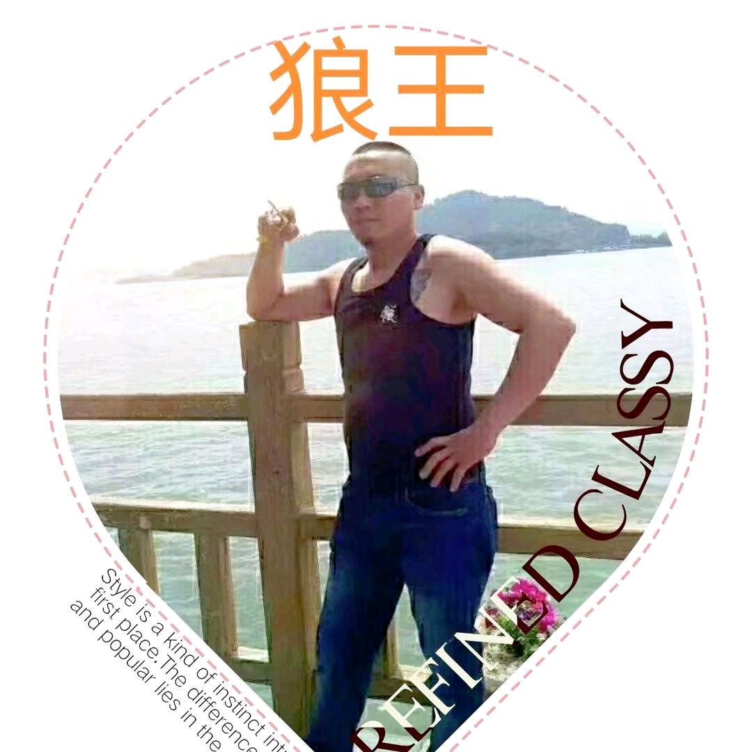 🥊西北狼🥊