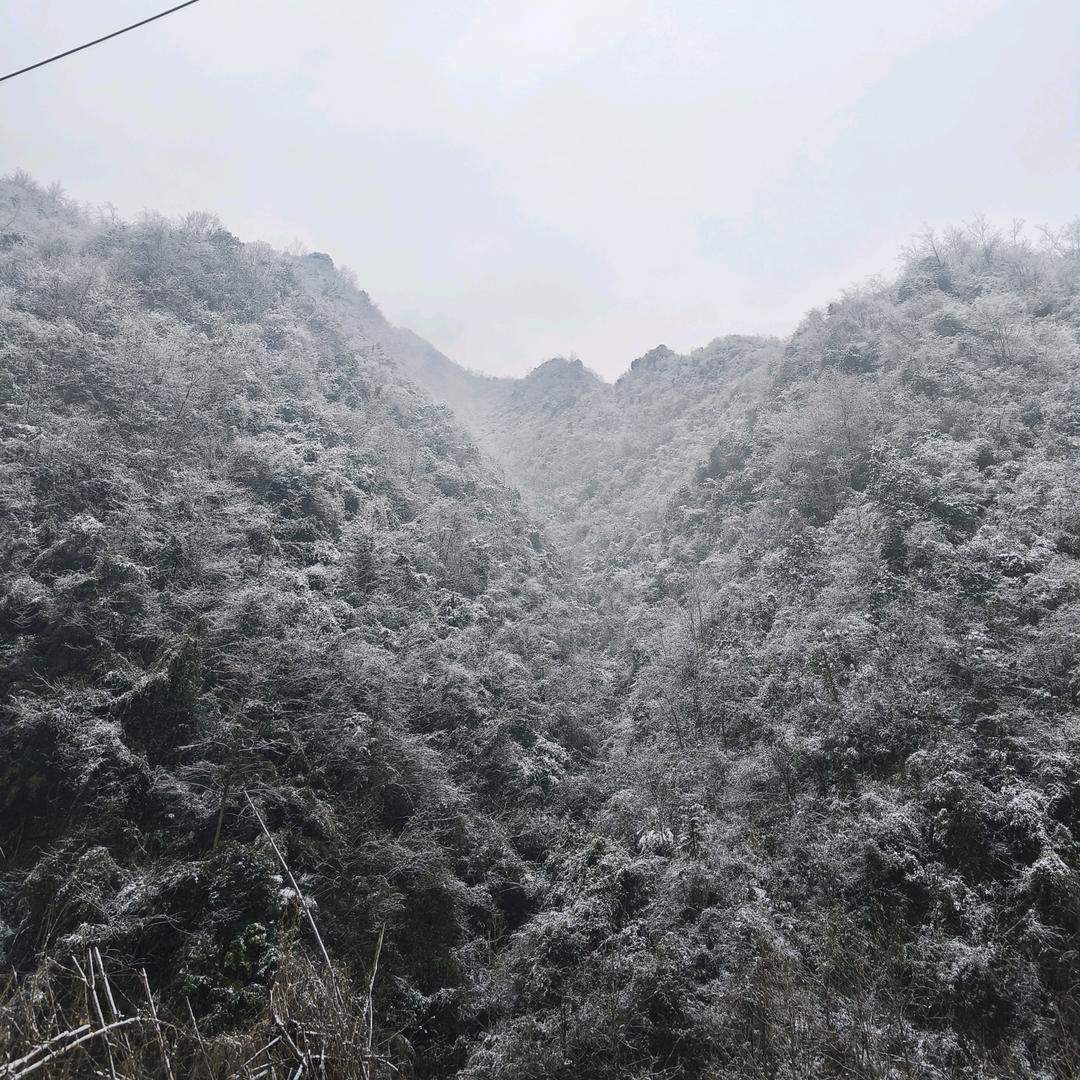 酒舟