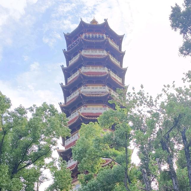无处安放的心