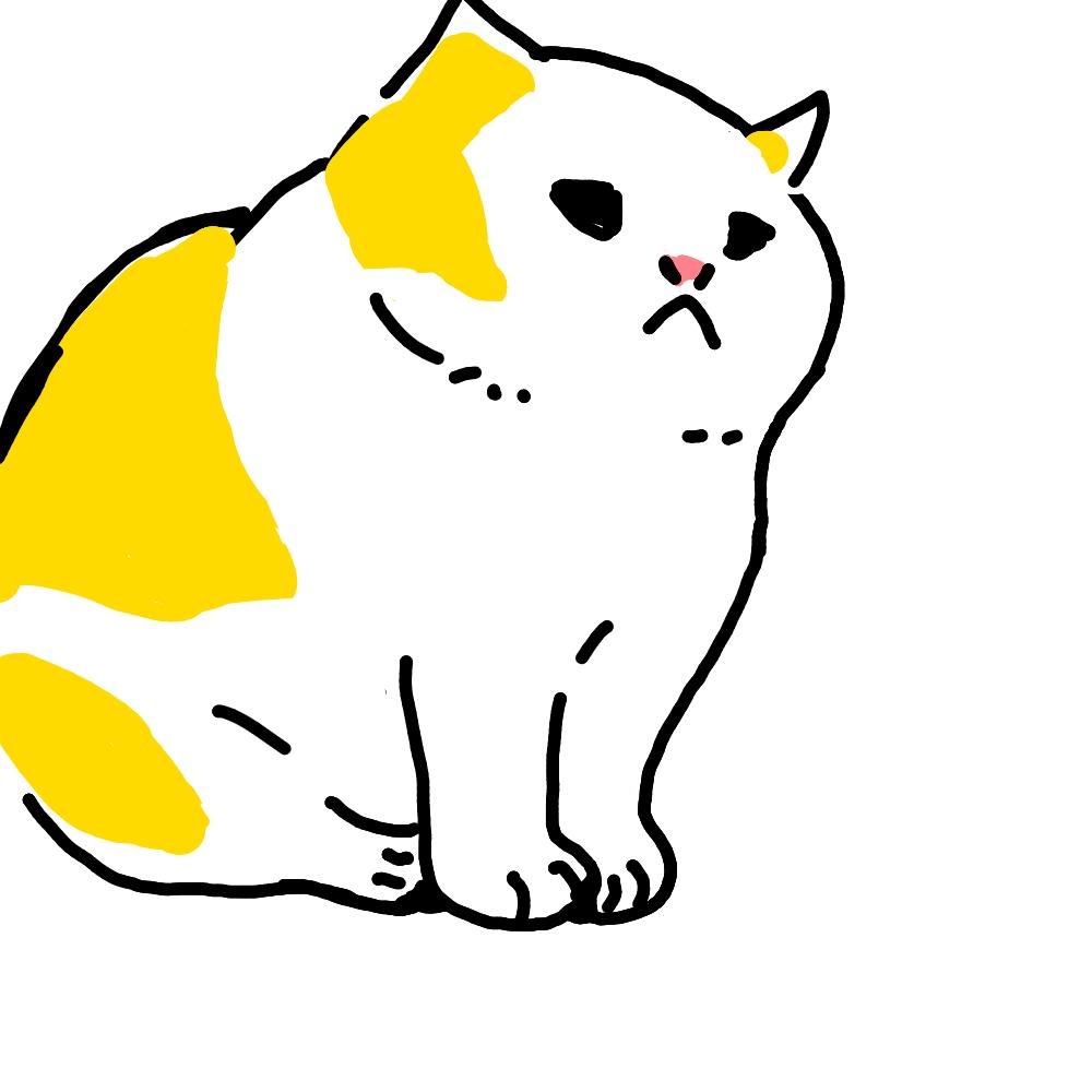 饼子
