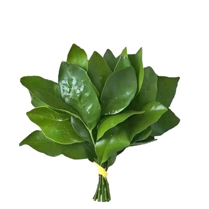 就叫张张