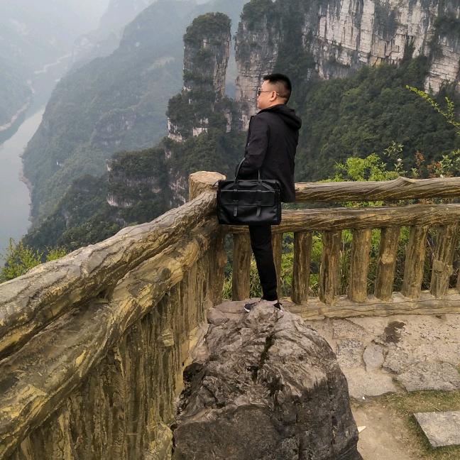 波仔杨
