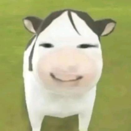 迷雾之子