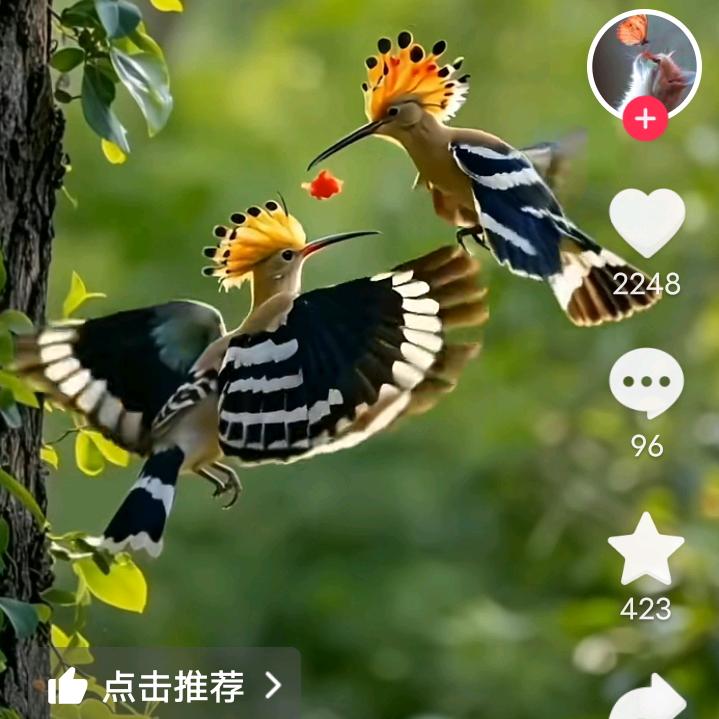 卞