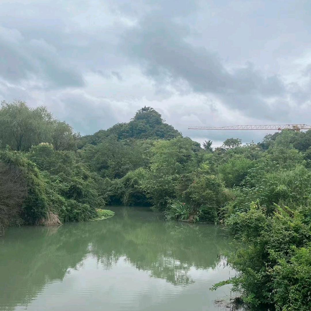 小助理西瓜上线