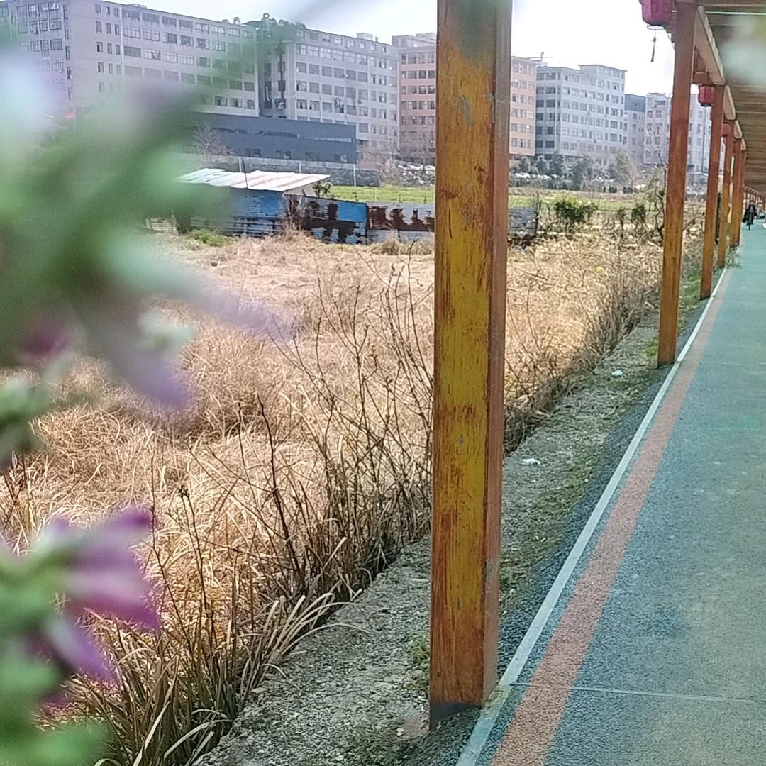 生活向前，信息发布