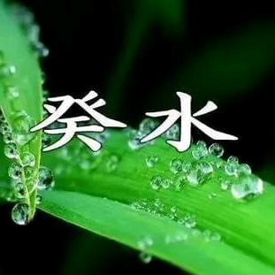 柏泽