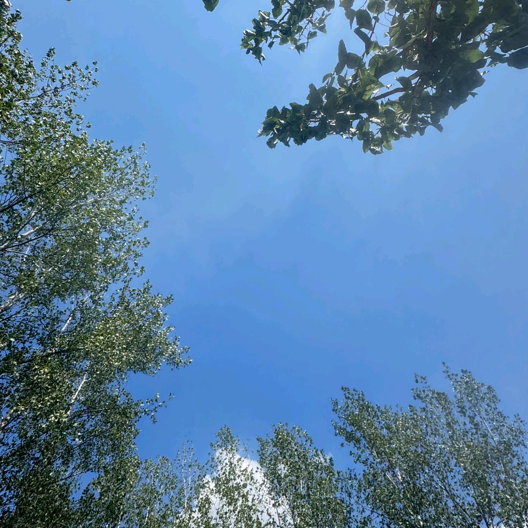 春木燎原💞🇨🇳(°ー°〃)