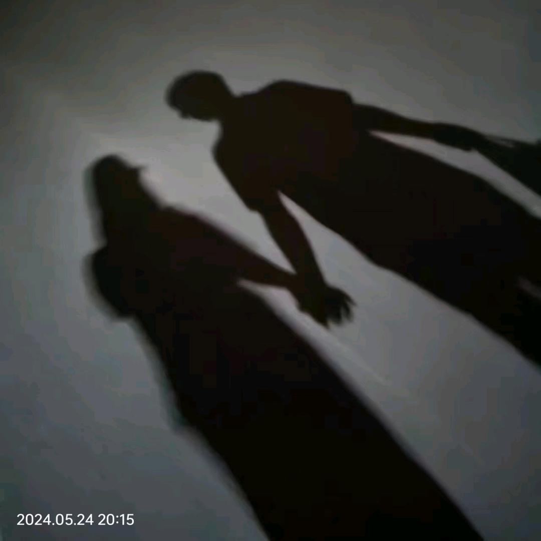 龙