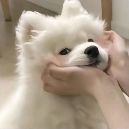@墩墩儿