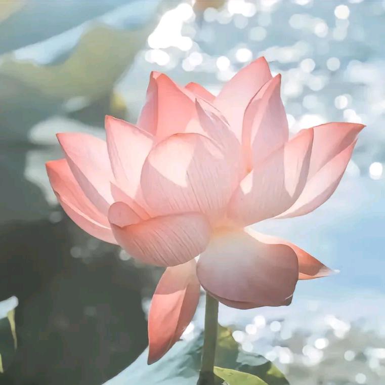 太想念\