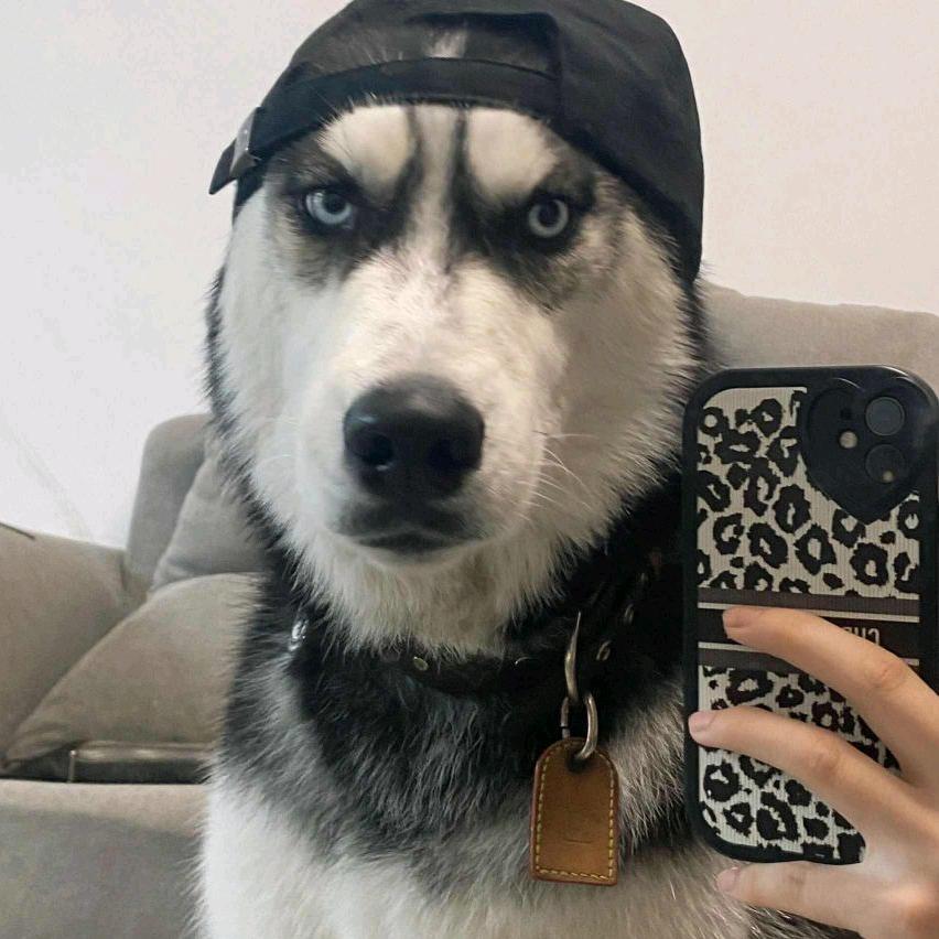 一起来谭恋爱