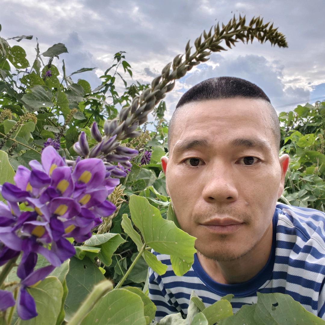 小丁犟手葛粉坊