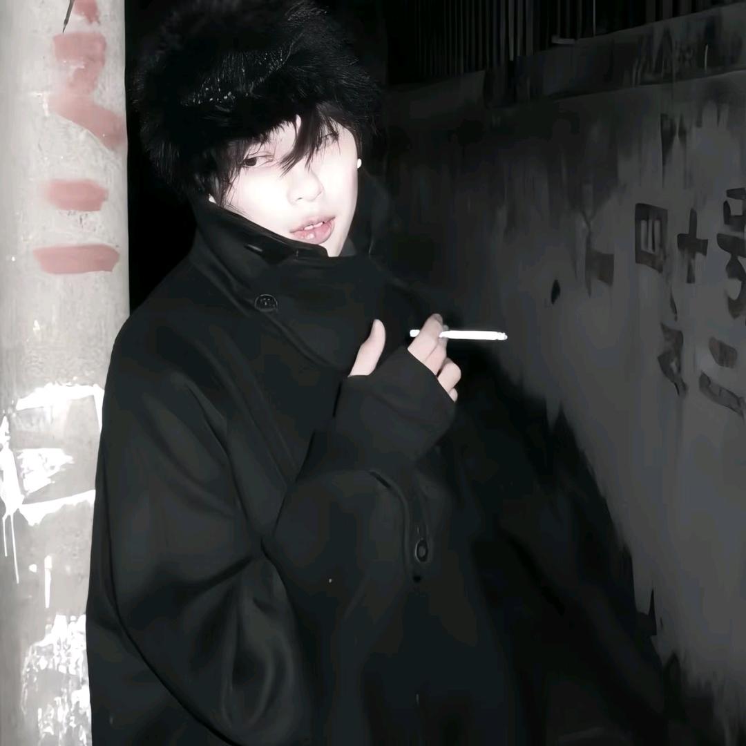 忧郁枯枝上的猫