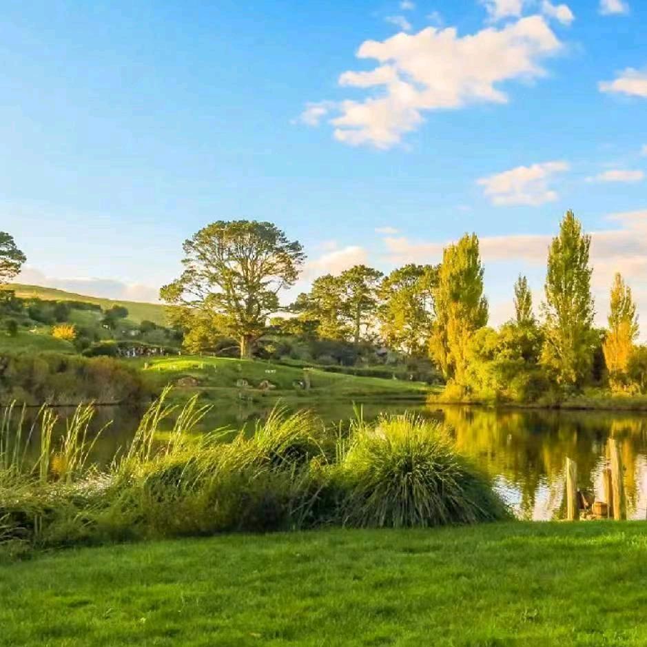 杨杨养心❤️❤️❤️