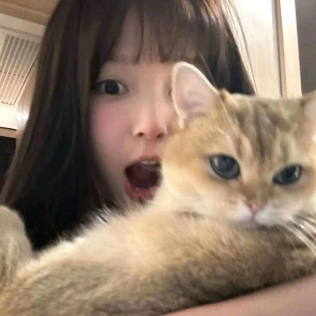 鱼虾一整碗