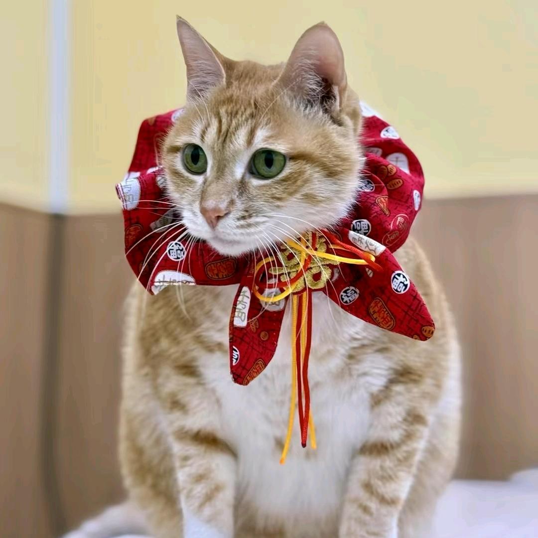 小方老师
