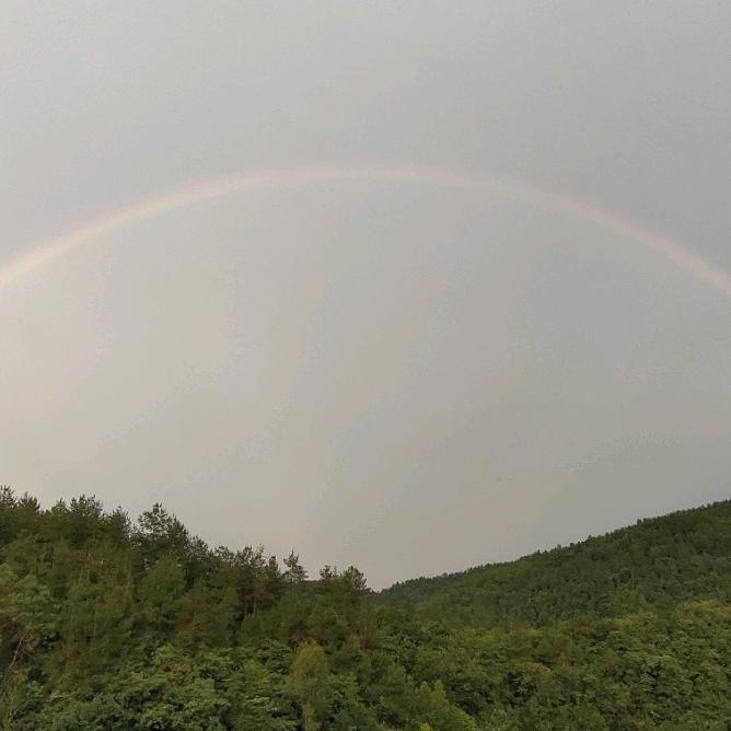 丘鼎胜
