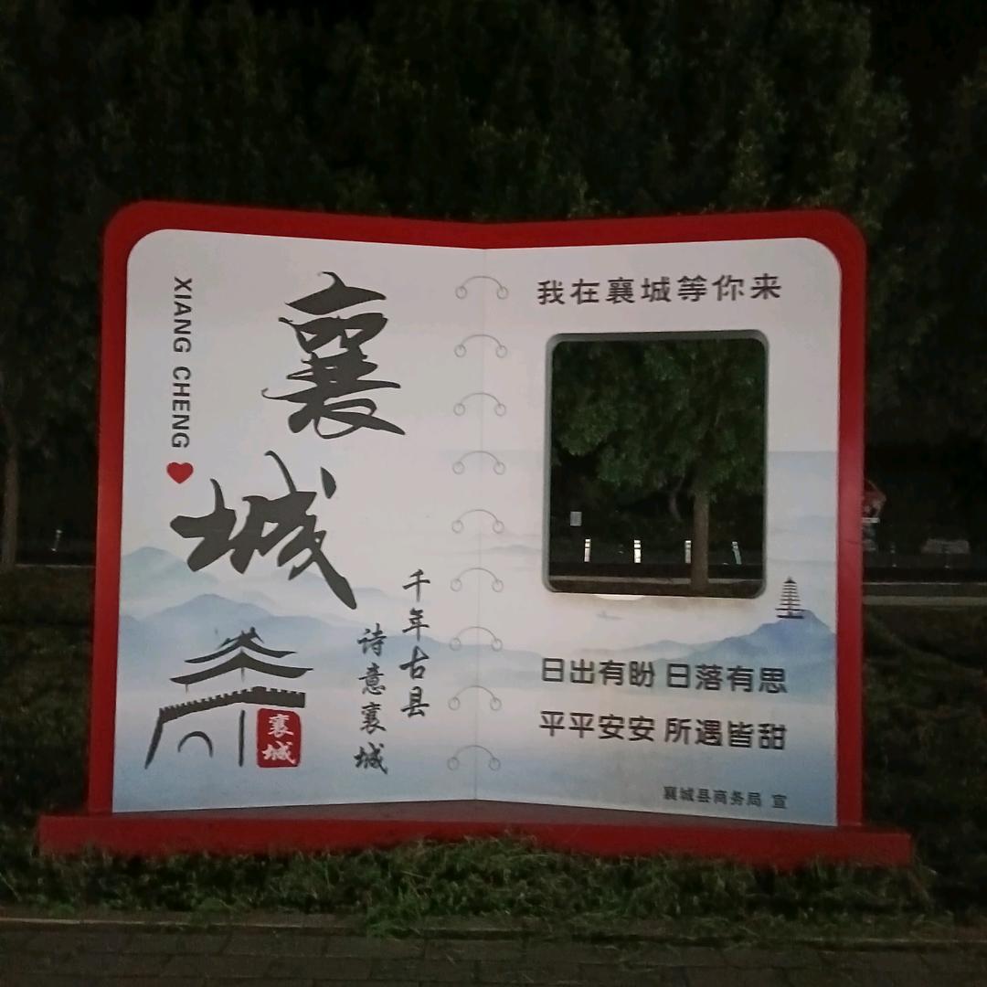 你来了一阵子我疼了一辈子