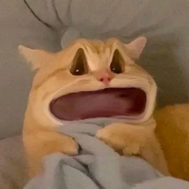 GIN