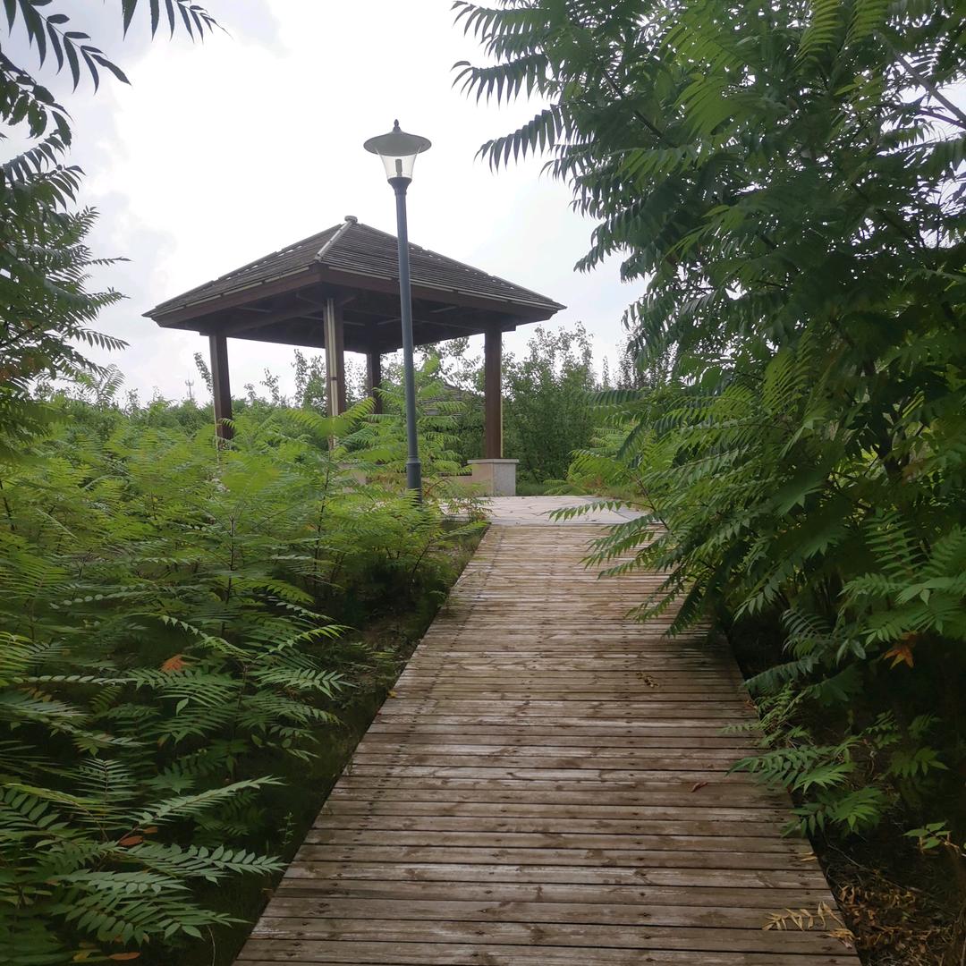 泽宝宝1