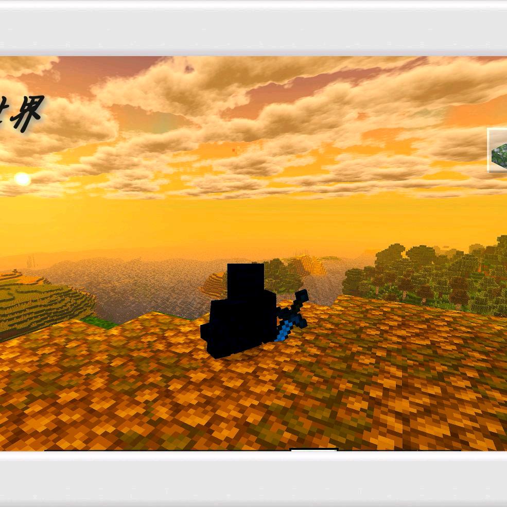 我的世界小猪包