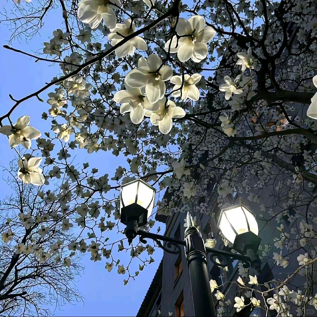 海绵宝宝(*˘︶˘*).。.:*♡