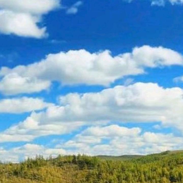 蓝天白云🌷🌷