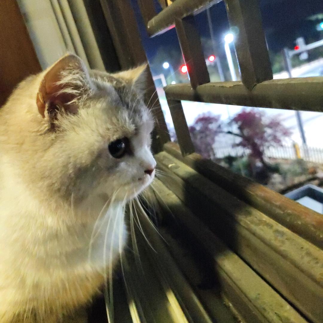 小浪润阁汽车座椅（开化）