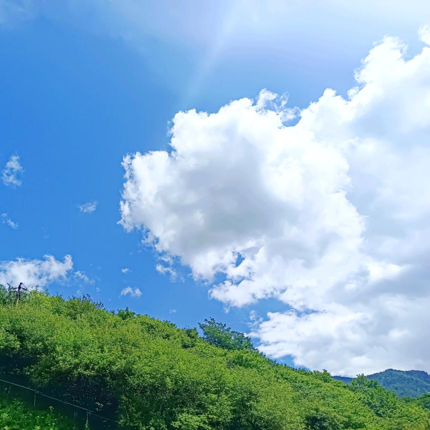 海尔卡萨帝电器