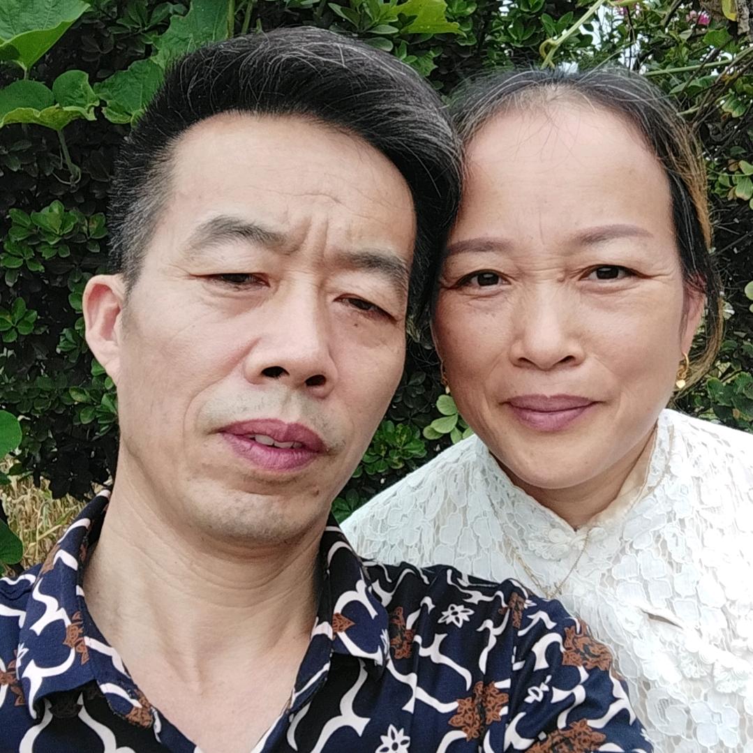 春天的太陽