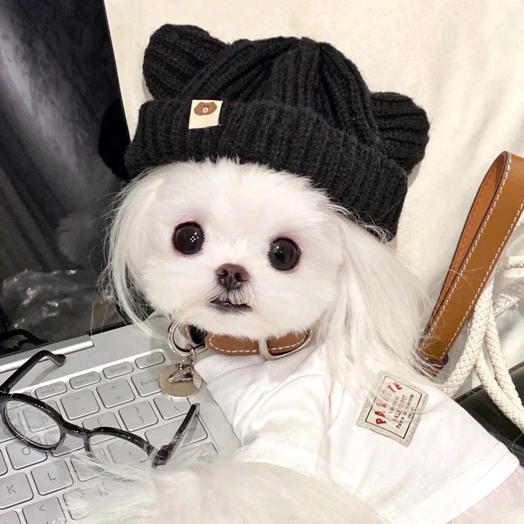林家小妹i