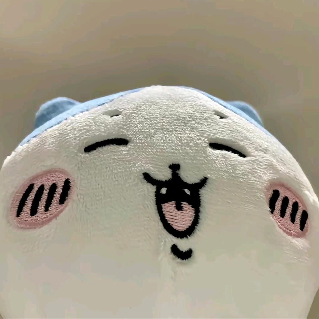 罐装