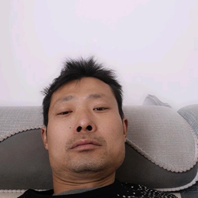 大漠孤雁