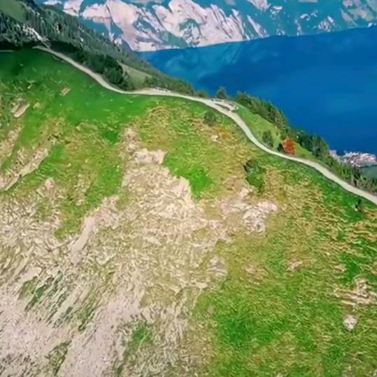 做一个有情有意的人