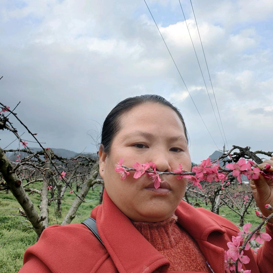 开心果