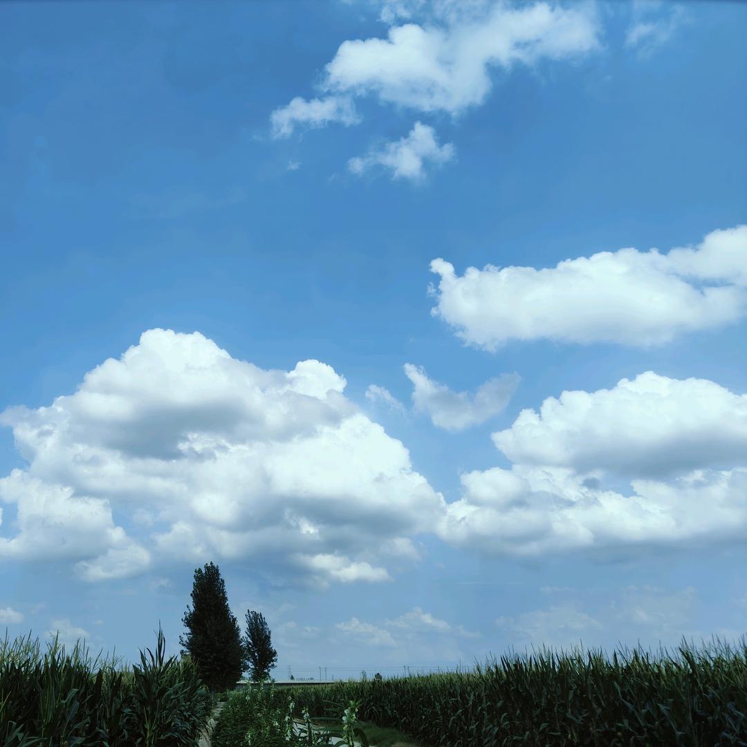 11今天  明天  后天11