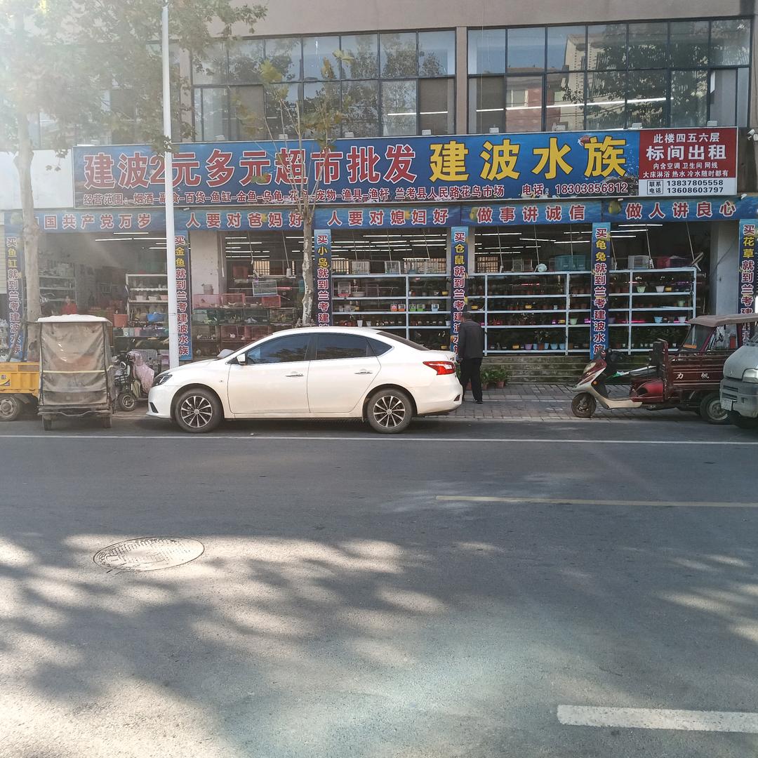 兰考建波水族卖鱼缸金鱼小鸟小兔小仓鼠花草