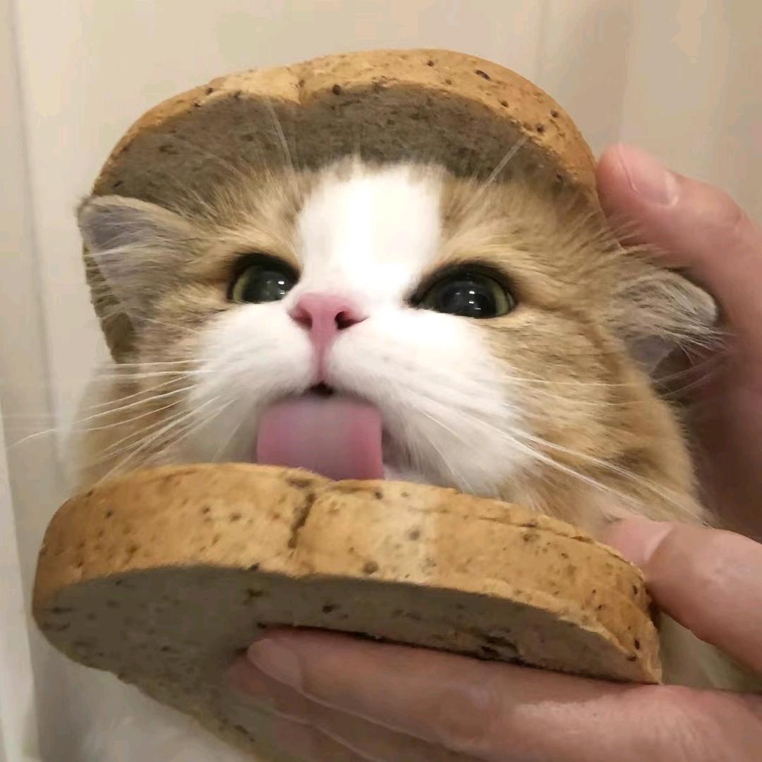 ≽ ⦁ ⩊ ⦁ ≼