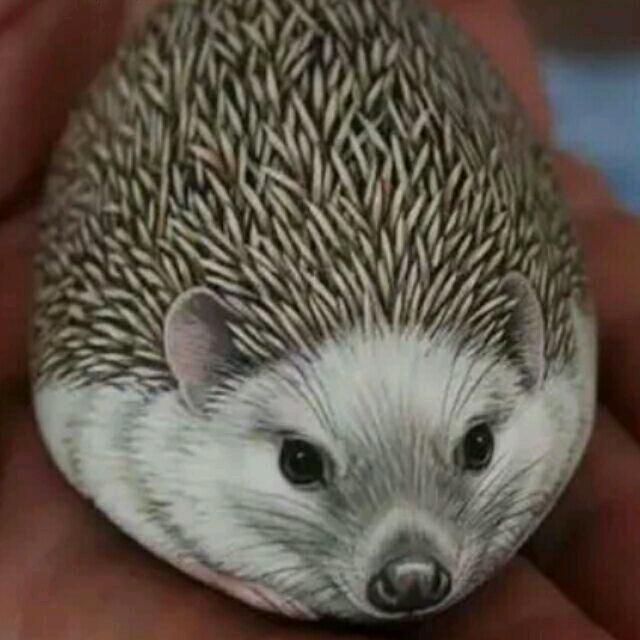 🌈一声豪韵🦜