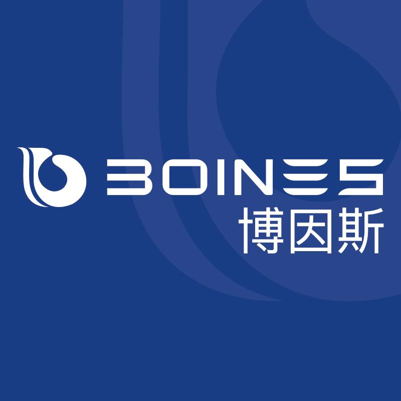 博因斯