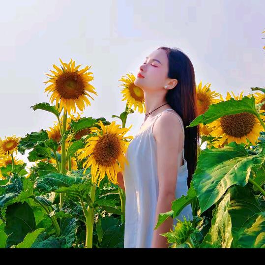 莉莉大王