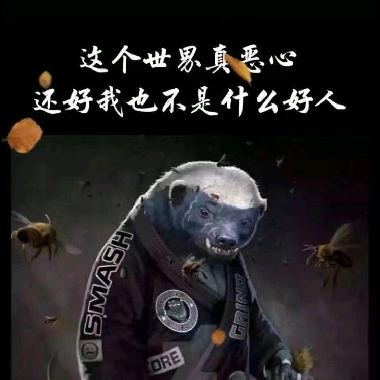 米佬✨