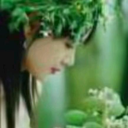 傻子姐