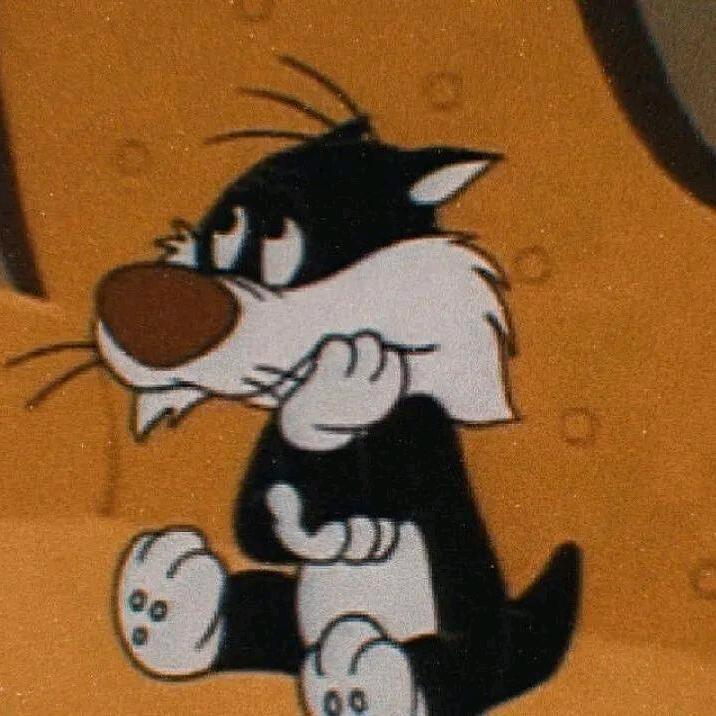 加州鹅系羽绒服