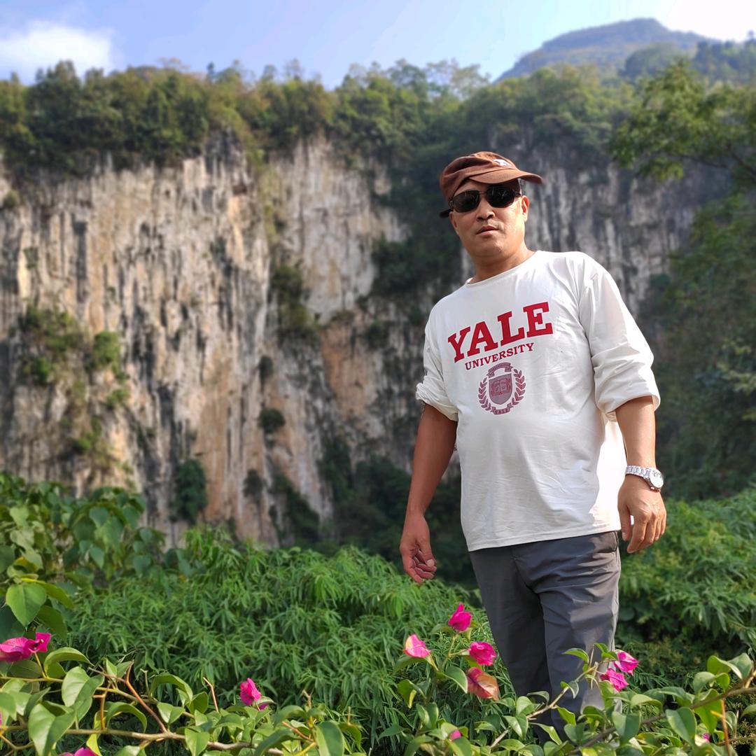 总有刁民想害朕