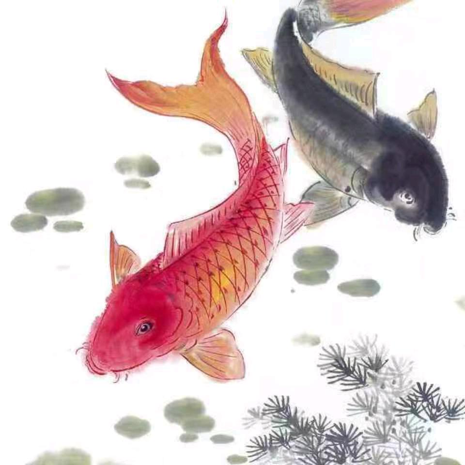垂钓三号