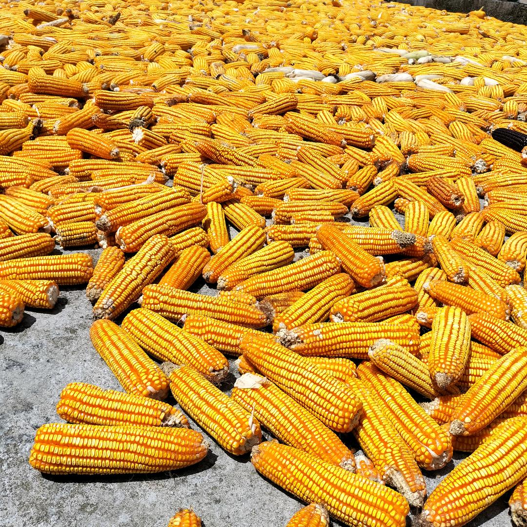 未来之↙星，！。？wt ，。。″李在友坐